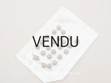 19世紀末 アンティーク 花模様 ボタン 8mm 23ピース ブラウン