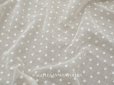 画像1: アンティーク  小さな花刺繍入り コットンオーガンジー 生成り＆ホワイト ファブリック 90cm幅 (1)