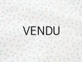 未使用 アンティーク 小さな薔薇模様のファブリック ホワイト＆ブルー 70×55m