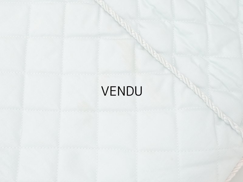 画像22: アンティーク ハンキーケース モノグラム＆草花のホワイトワーク ハンカチ用ポシェット シルクサテン＆レース 