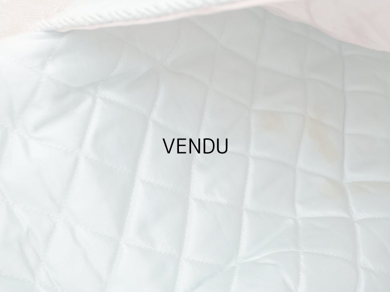 画像25: アンティーク ハンキーケース モノグラム＆草花のホワイトワーク ハンカチ用ポシェット シルクサテン＆レース 