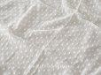 画像1: アンティーク  ドット刺繍入り コットンオーガンジー オフホワイト ファブリック 140×48cm (1)