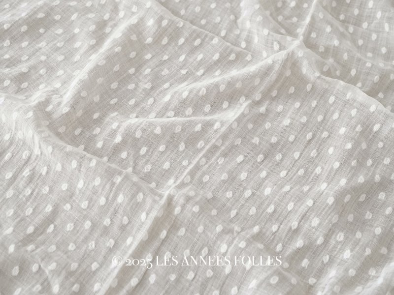 画像1: アンティーク  ドット刺繍入り コットンオーガンジー オフホワイト ファブリック 140×48cm