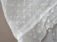 画像8: アンティーク  ドット刺繍入り コットンオーガンジー オフホワイト ファブリック 140×48cm