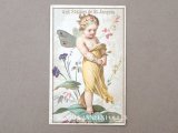 アンティーク クロモ 花の妖精と花占い PAS DU TOUT! NOT AT ALL - AUX STATUES DE ST-JAQUES -