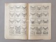 画像7: 1903年 アンティーク プランタン百貨店のカタログ CATALOGUE SPECIAL BLANC - GRANDS MAGASINS DU PRINTEMPS - 