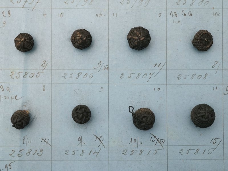 画像6: 19世紀 アンティーク小さなくるみボタンのサンプラー 80ピース