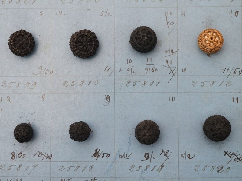 画像7: 19世紀 アンティーク小さなくるみボタンのサンプラー 80ピース