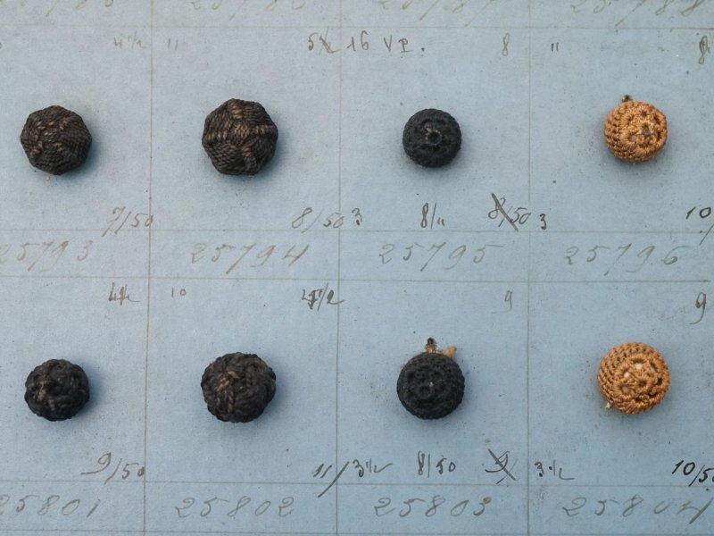 画像5: 19世紀 アンティーク小さなくるみボタンのサンプラー 80ピース