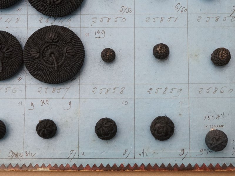 画像13: 19世紀 アンティーク小さなくるみボタンのサンプラー 80ピース