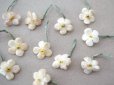 画像3: アンティーク 勿忘草 ベルベットの布花  アイボリー 13ピースのセット 14mm