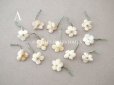 画像2: アンティーク 勿忘草 ベルベットの布花  アイボリー 13ピースのセット 14mm (2)