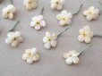画像8: アンティーク 勿忘草 ベルベットの布花  アイボリー 13ピースのセット 14mm