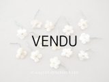 アンティーク 勿忘草 ベルベットの布花  アイボリー 13ピースのセット 14mm
