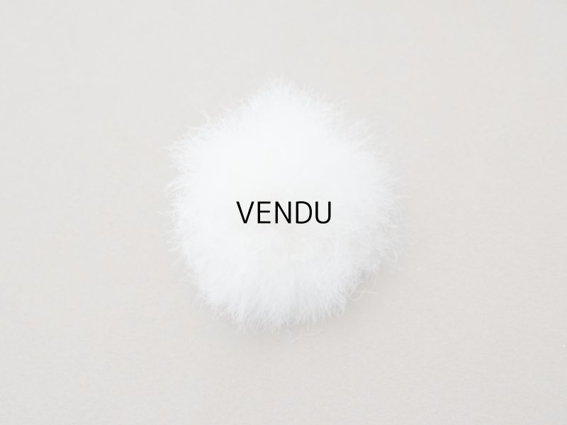 画像16: アンティーク パウダーボックス 薔薇のガーランド＆蝶々 POUDRE DE RIZ - PFELIX POTIN PARIS -