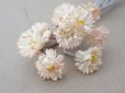 画像9: アンティーク デイジーの布花 