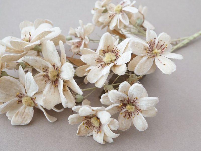 画像6: アンティーク 大きなブーケ シルクベルベットの布花 アイボリー ラベル付