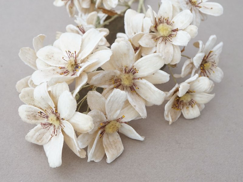 画像7: アンティーク 大きなブーケ シルクベルベットの布花 アイボリー ラベル付