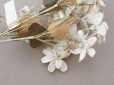 画像5: アンティーク 大きなブーケ シルクベルベットの布花 アイボリー ラベル付