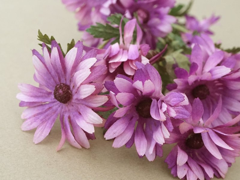 画像6: アンティーク 大きなブーケ クリザンテム 布花 ラベル付