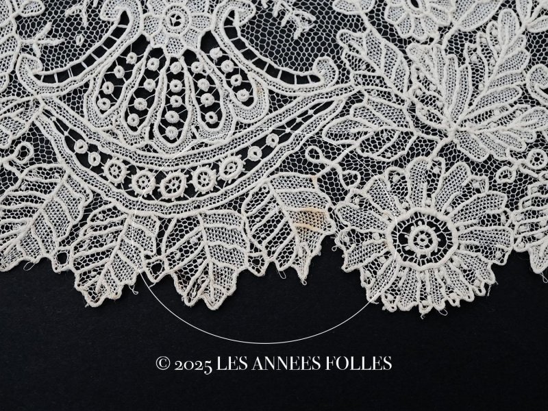 画像14: 19世紀末 アンティーク ニードルレース ポワンドガーズのボーダー 4.25m 10cm幅【ポワン・ド・ガーズ】 