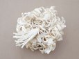 画像4: アンティーク ヒヤシンスの布花 オフホワイト (4)