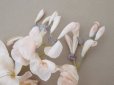 画像23: アンティーク 布花 大きなブーケ パウダーピンク