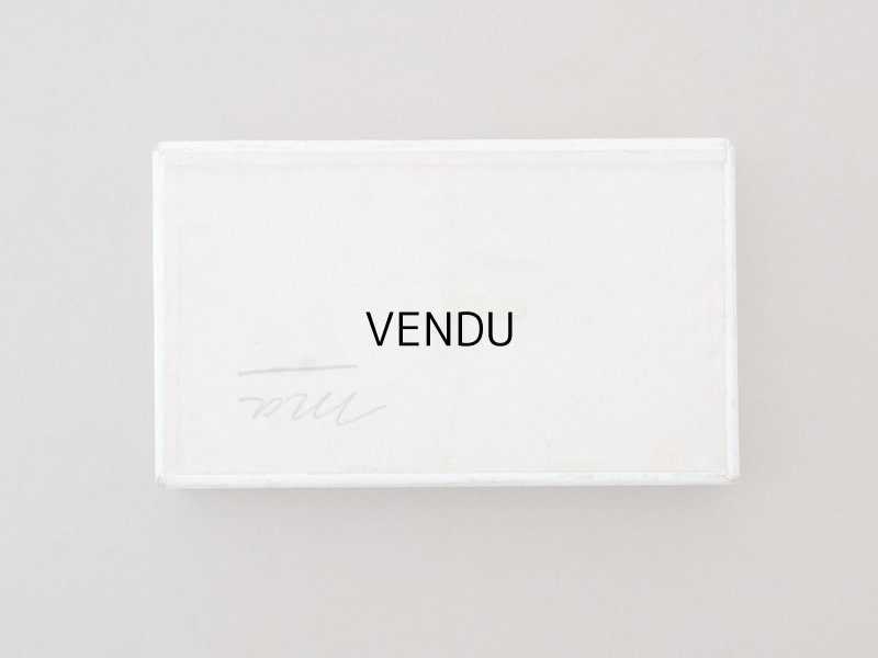 画像6: アンティーク 紙箱 写真用ガラスプレート