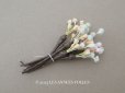 画像1: アンティーク ペップ 布花用 花芯 パステルカラー (1)