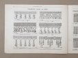 画像11: アンティーク ボンマルシェのカタログ インテリア用ファブリック＆パスパントリー TISSU POUR AMEUBLEMENTS - AU BON MARCHE -