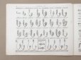 画像14: アンティーク ボンマルシェのカタログ インテリア用ファブリック＆パスパントリー TISSU POUR AMEUBLEMENTS - AU BON MARCHE -