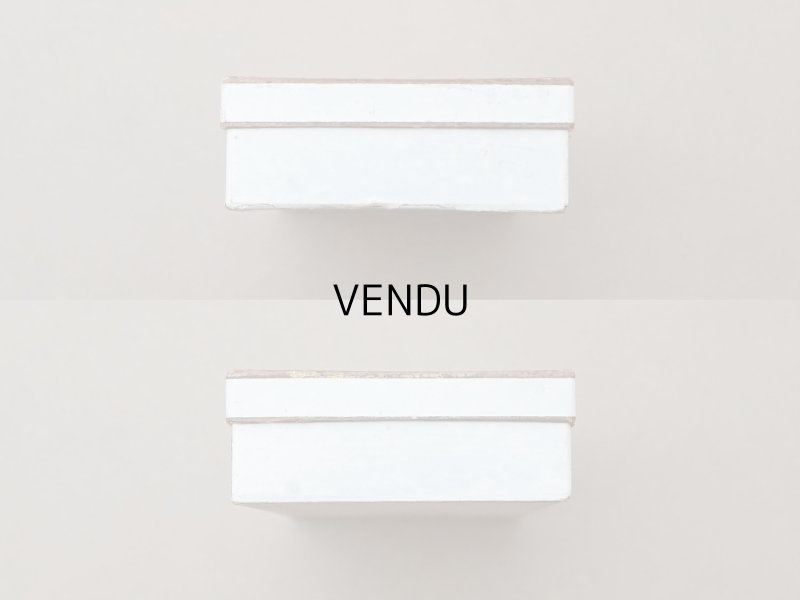 画像5: アンティーク 紙箱 写真用ガラスプレート