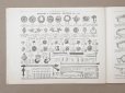 画像16: アンティーク ボンマルシェのカタログ インテリア用ファブリック＆パスパントリー TISSU POUR AMEUBLEMENTS - AU BON MARCHE -