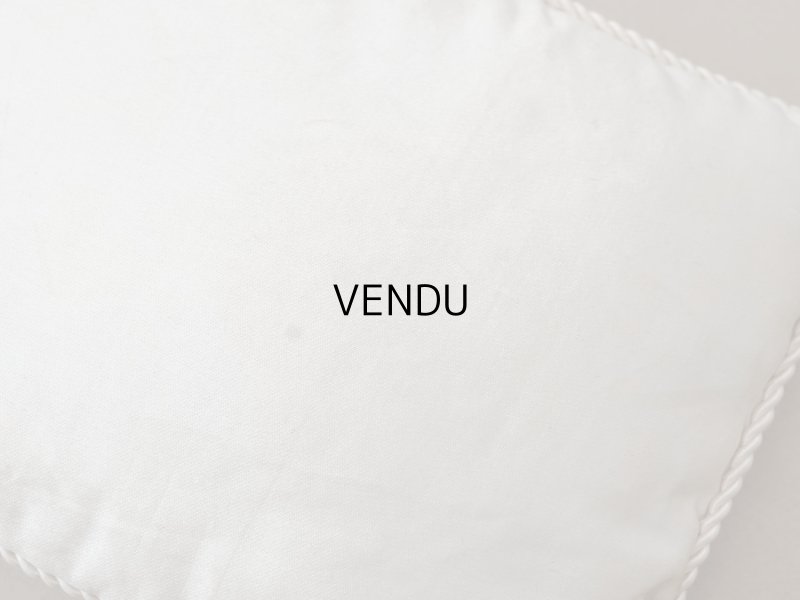 画像9: 19世紀末 アンティーク シルク製 クッション シルククッション COMPAGNIE DES INDES