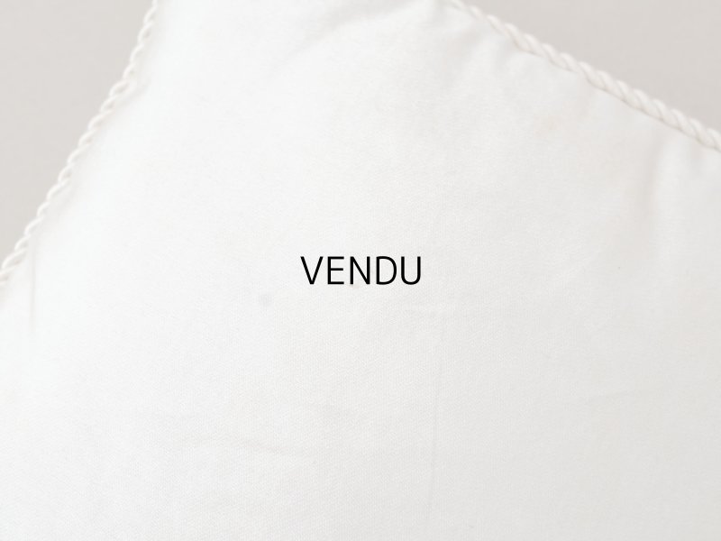 画像8: 19世紀末 アンティーク シルク製 クッション シルククッション COMPAGNIE DES INDES