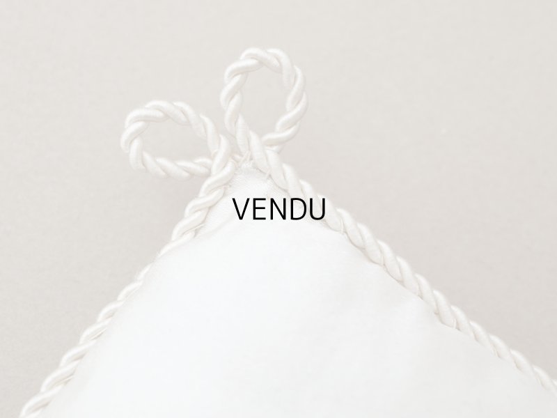 画像6: 19世紀末 アンティーク シルク製 クッション シルククッション COMPAGNIE DES INDES