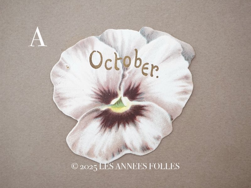 画像3: アンティーク クロモ パンジー