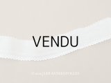 アンティーク スカラップレース ドット刺繍入り コットンオーガンジー 4cm幅 4〜4.7m
