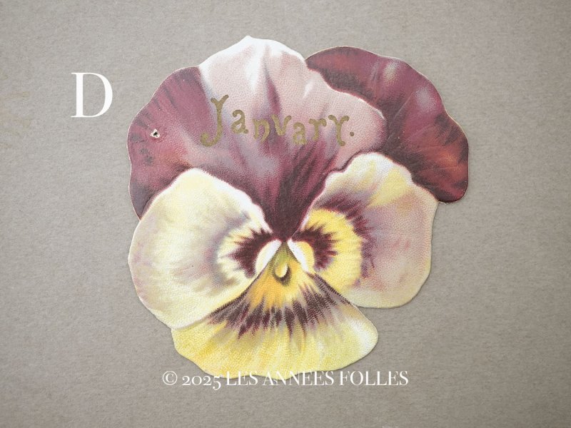 画像6: アンティーク クロモ パンジー