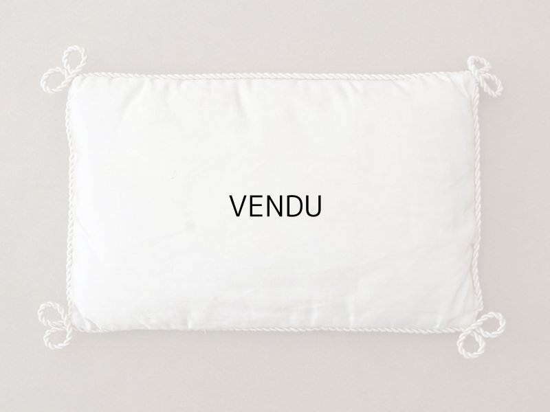 画像7: 19世紀末 アンティーク シルク製 クッション シルククッション COMPAGNIE DES INDES