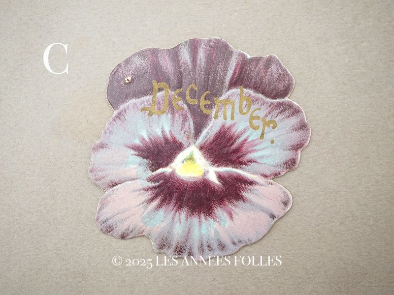 画像5: アンティーク クロモ パンジー