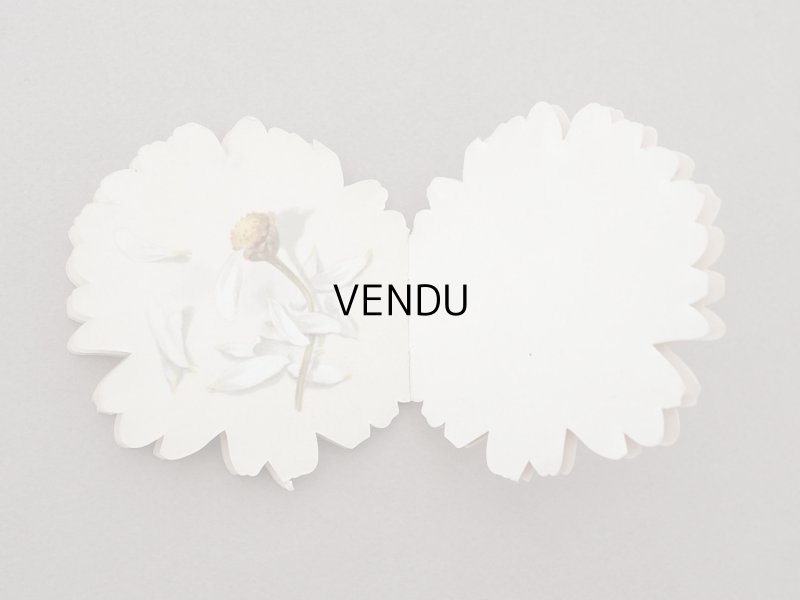 画像7: アンティーク マーガレットの小さな絵本 A MARGUERITE DAISY - E.P. DUTTON & Co -