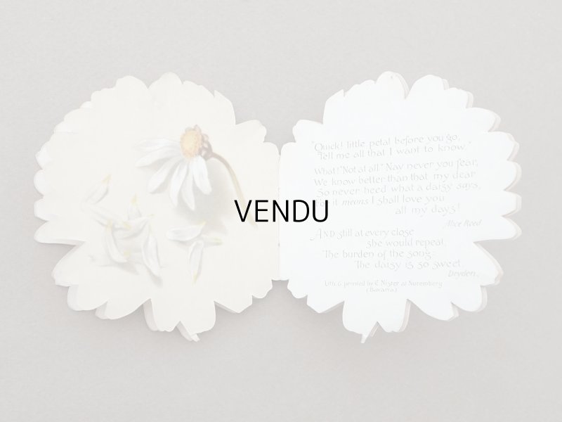 画像6: アンティーク マーガレットの小さな絵本 A MARGUERITE DAISY - E.P. DUTTON & Co -