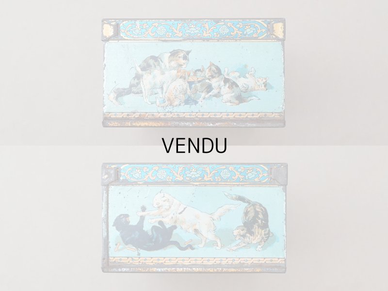 画像4: 19世紀 アンティーク 子猫たち ラングドシャのメタル缶 LANGUES DE CHAT- MAISON MATHE -