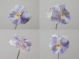 画像5: アンティーク ハットピン 菫 (5)