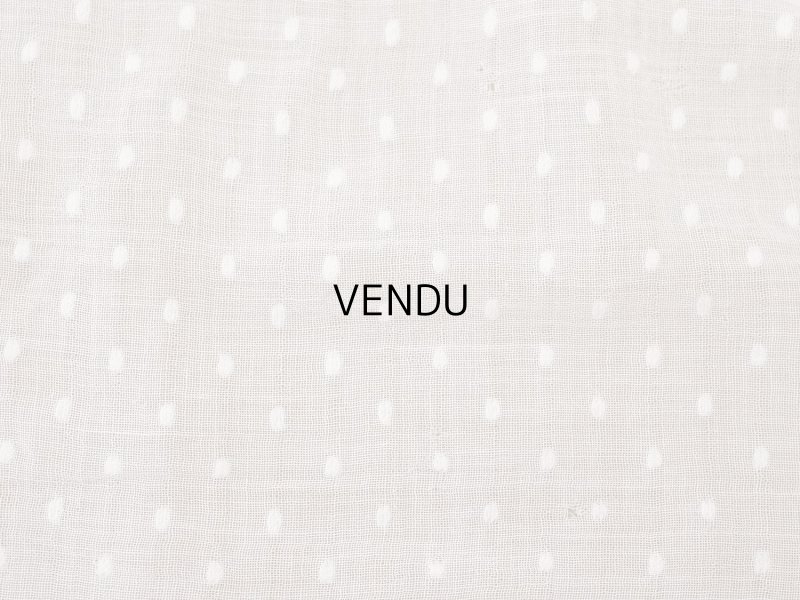 画像14: アンティーク ドット刺繍入り コットンオーガンジー  フリル付き 164×56cm