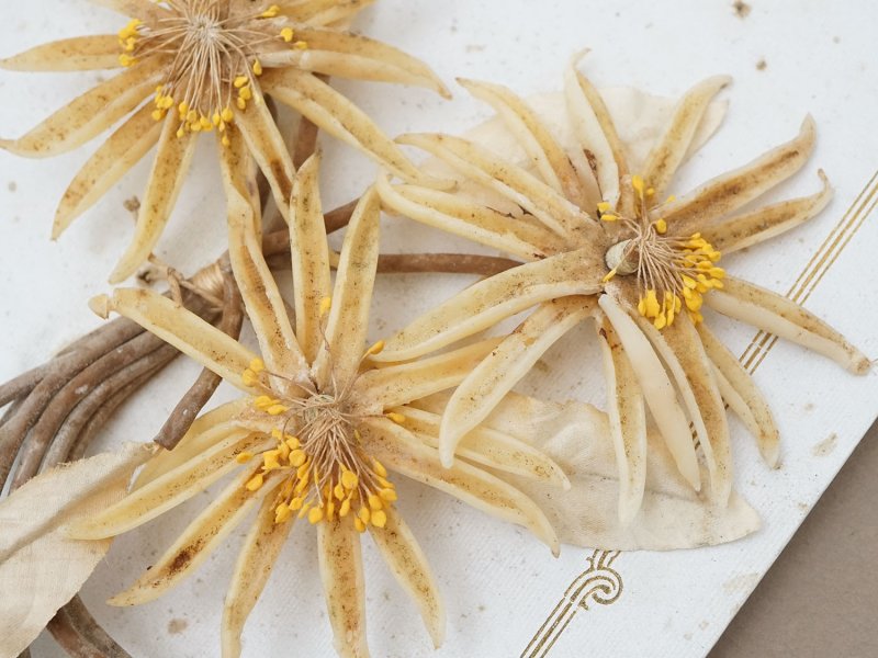 画像3: アンティーク 台紙付 ワックスフラワーのブーケ