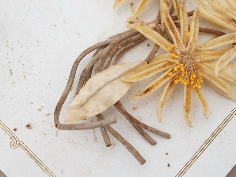 画像5: アンティーク 台紙付 ワックスフラワーのブーケ