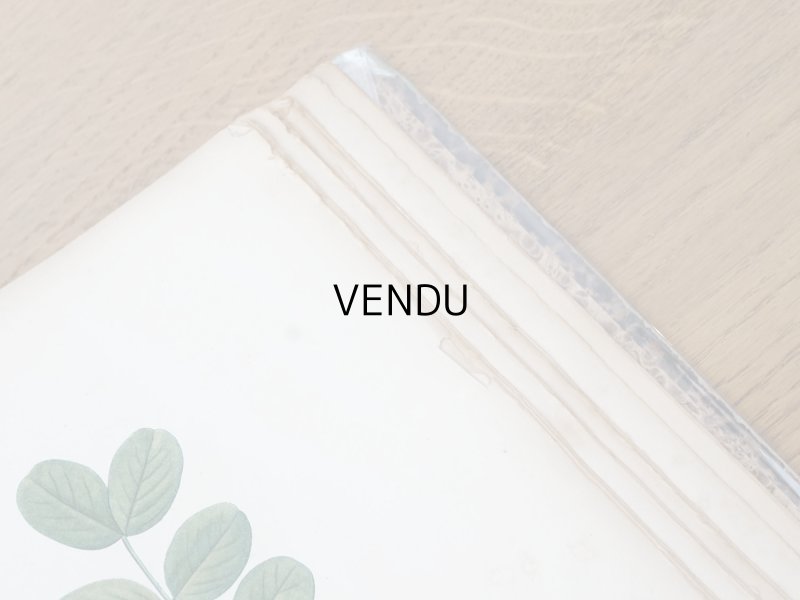 画像32: 1805年 初版 薔薇の画家 ルドゥテの植物画 65枚【 ジャン=ジャック・ルソーの植物学 】 BOTANIQUE DE J.J.ROUSSEAU