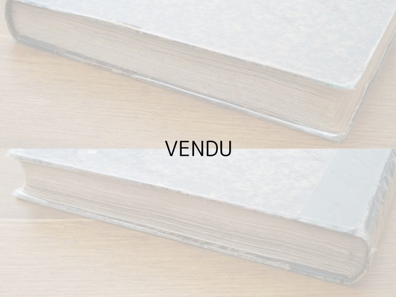 画像28: 1805年 初版 薔薇の画家 ルドゥテの植物画 65枚【 ジャン=ジャック・ルソーの植物学 】 BOTANIQUE DE J.J.ROUSSEAU